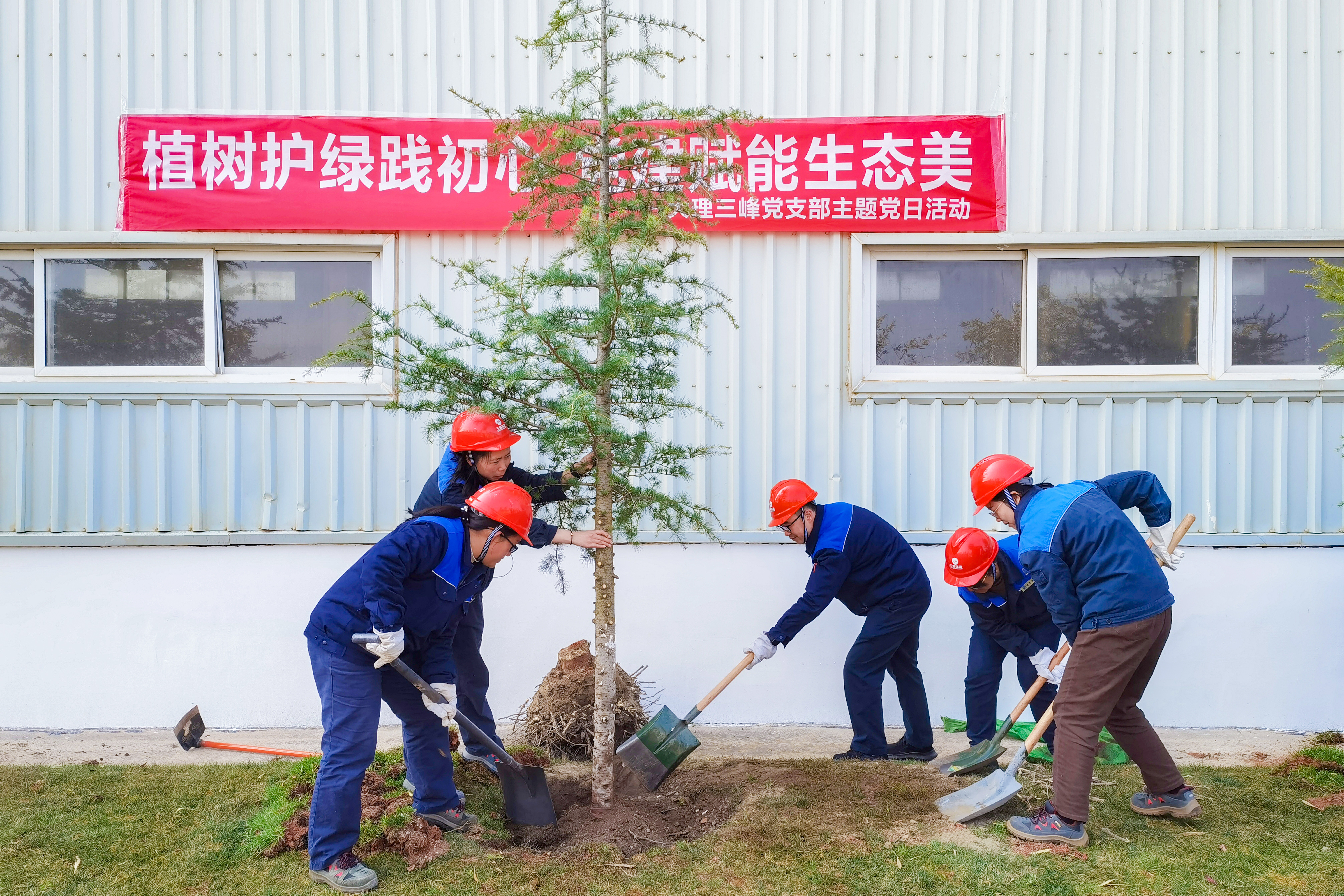 大理三峰植樹節(jié)照片2.jpg